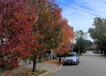 Se espera un viernes agradable.