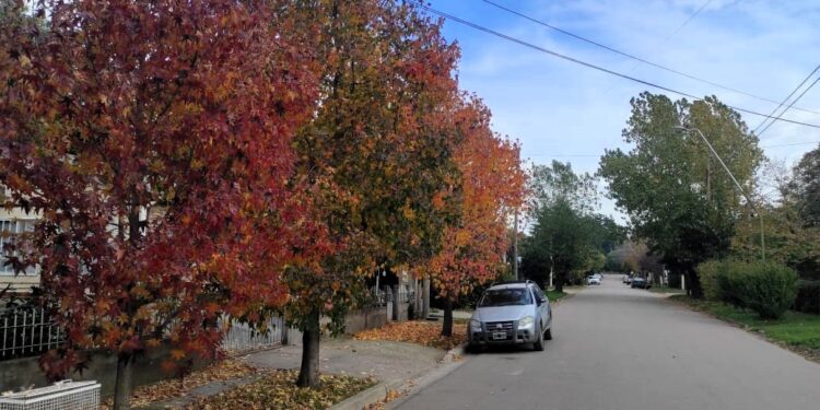 Se espera un viernes agradable.