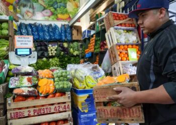 Se desechan más de 16 toneladas de alimentos por año: proponen una ley para frenar el desperdicio de comida