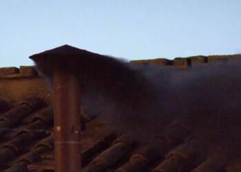 Fumata negra: la primera votación del cónclave termina sin acuerdo