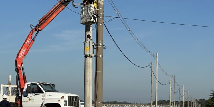 La CELT. instaló un nuevo tendido eléctrico en Tornquist con línea compacta
