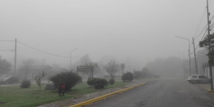 Empresas abandonan obra de ampliación del gasoducto de Vaca Muerta por falta de pago