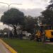 Poda en bulevares de Av. San Martín: «no solo para mantener la estructura, sino la salud de los mismos.»