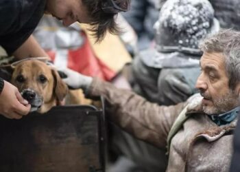 La historia de Puelo, el perro protagonista de El Eternauta que conquistó a Ricardo Darín
