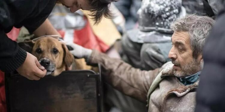 La historia de Puelo, el perro protagonista de El Eternauta que conquistó a Ricardo Darín