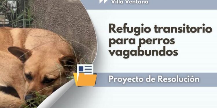 Solicitan un lugar en Villa Ventana para ubicar un refugio de mascotas.
