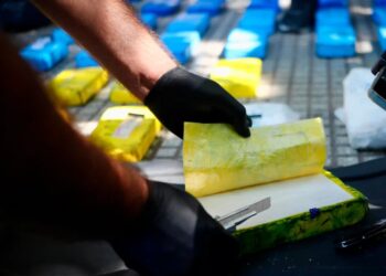 Advierten que en el país ya se instalaron dos carteles narcos mexicanos y terroristas iraníes