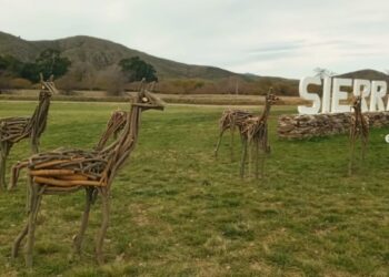 Sierra de la Ventana: Nueva incorporación en el portal de acceso a nuestra localidad