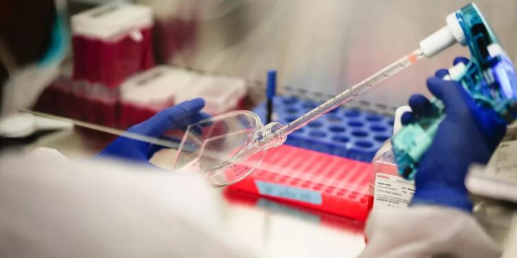 Gran avance contra el cáncer: logran generar células CAR-T con una inyección, sin tener que entrenarlas fuera del cuerpo