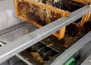 «Queremos hacer énfasis en una construcción cooperativista»