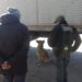 Salta: el perro antinarcóticos «Minos» halló 40 kilos de pasta base en un camión proveniente de Bolivia