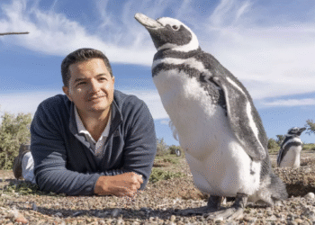 National Geographic nombra como “explorador del año” a un argentino dedicado al cuidado de pingüinos