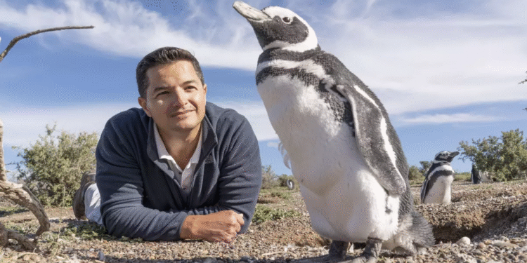 National Geographic nombra como “explorador del año” a un argentino dedicado al cuidado de pingüinos