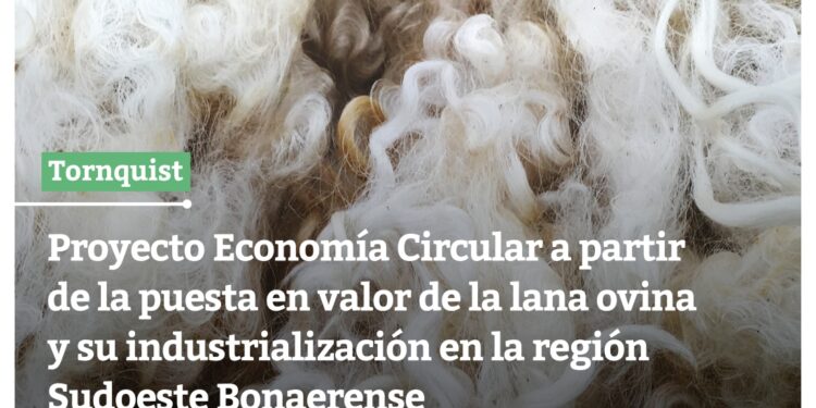 Se presentará el proyecto regional de puesta en valor de la lana ovina de descarte