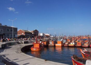 La pesca en su estado más crítico: cierres de plantas y demandas judiciales en tribunales federales