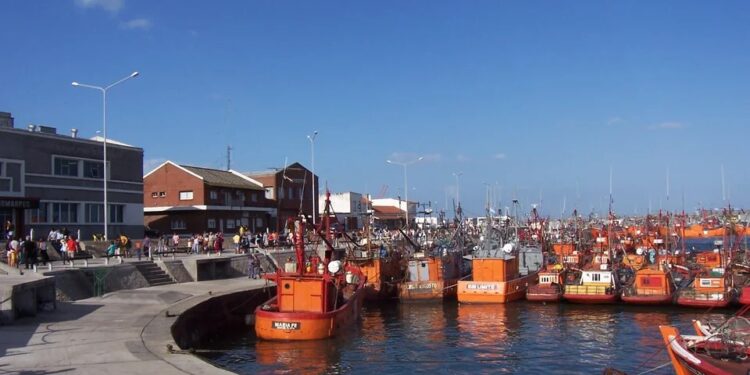 La pesca en su estado más crítico: cierres de plantas y demandas judiciales en tribunales federales