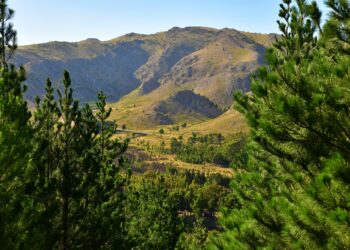 Se construirá un nuevo complejo Hotelero en la Comarca: «Howard Johnson Solares de la Ventana»