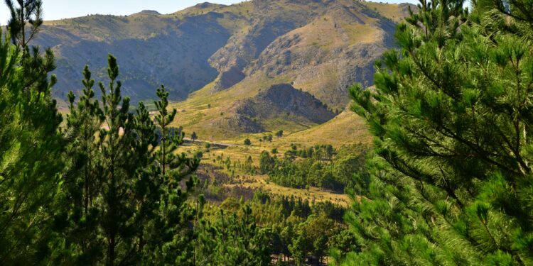 Se construirá un nuevo complejo Hotelero en la Comarca: «Howard Johnson Solares de la Ventana»