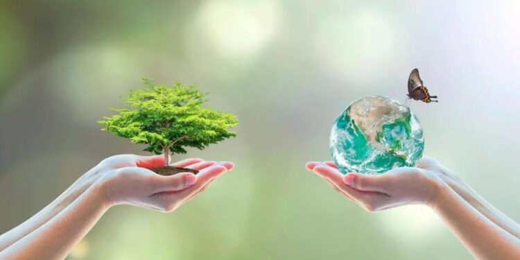 Día Mundial del Medio Ambiente: ¿por qué se celebra el 5 de junio?