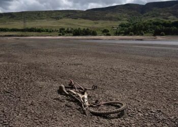 Ya no llueve en Inglaterra, que sufre la primavera más seca en un siglo: “El clima es mucho más caótico”