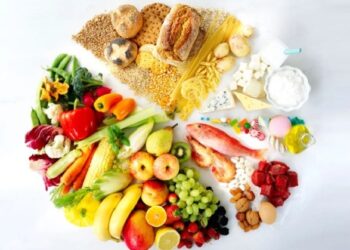 Consejos de alimentación saludable: Cómo mantenerse sano y comer sano con una agenda apretada
