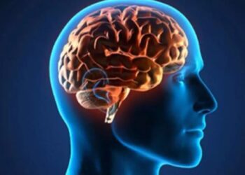 Día Mundial del Cerebro: ¿por qué se celebra el 22 de julio?