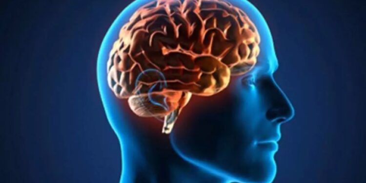 Día Mundial del Cerebro: ¿por qué se celebra el 22 de julio?