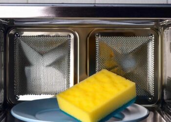 Calentar las esponjas adentro del horno microondas: por qué sugieren hacerlo y qué previene