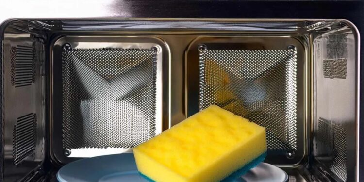 Calentar las esponjas adentro del horno microondas: por qué sugieren hacerlo y qué previene