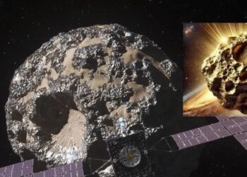 El notable hallazgo científico que podría volver rica a la humanidad