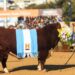 En Hereford, el campeón llegó desde Saldungaray