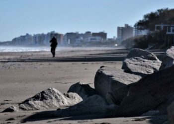 Cómo le está yendo a Monte en las vacaciones y las perspectivas para septiembre.