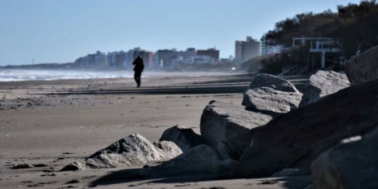 Cómo le está yendo a Monte en las vacaciones y las perspectivas para septiembre.
