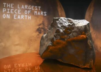 Pagan US$5,3 millones por el meteorito más grande de Marte hallado en la Tierra