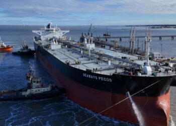 Puerto Rosales recibió el buque de mayor porte ingresado en su historia