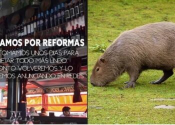 La increíble excusa del restaurante clausurado por vender carne de carpincho: dicen que cerraron por reformas