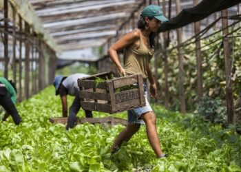 Día Mundial del Desarrollo Rural: ¿por qué se celebra el 6 de julio?