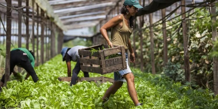 Día Mundial del Desarrollo Rural: ¿por qué se celebra el 6 de julio?