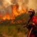 El fuego arrasa León, deja cuatro heridos críticos y miles de evacuados e interrumpe los trenes entre Madrid y Galicia