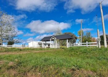 Robo en Sierra de la Ventana: Ladrones se llevan una cuantiosa suma de dólares en dos horas