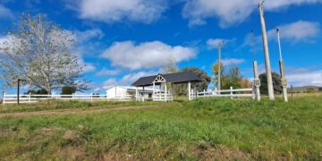 Robo en Sierra de la Ventana: Ladrones se llevan una cuantiosa suma de dólares en dos horas
