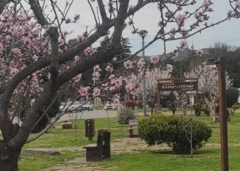 Sierra de la Ventana se viste de blanco y rosa con la floración de los almendros