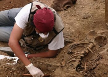 18 de agosto: Día Internacional de la Arqueología, un homenaje a la preservación del patrimonio cultural