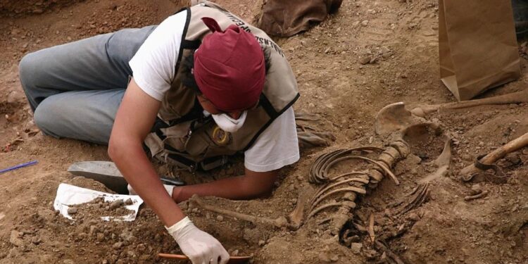 18 de agosto: Día Internacional de la Arqueología, un homenaje a la preservación del patrimonio cultural