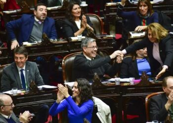 El Congreso contra Milei:  La oposición volteó el veto presidencial a la emergencia en discapacidad y ahora juega el Senado