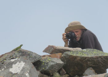 La Iguana de Cobre: Un tesoro único de la Sierra de la Ventana