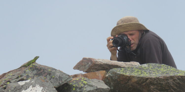 La Iguana de Cobre: Un tesoro único de la Sierra de la Ventana