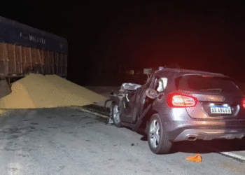 Cóctel fatal: Exceso de velocidad, drogas,  camión en mal estado y chofer sin licencia.