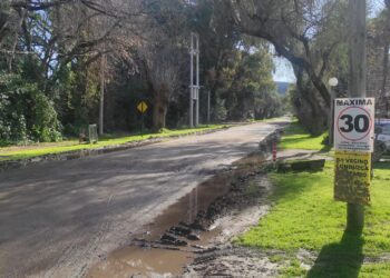 Lomos de burro, mesetas y reductores de velocidad: un tema de debate en Villa La Arcadia
