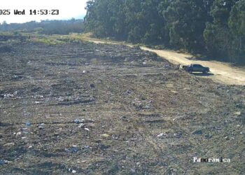 Saldungaray: Inician sumario contravencional por arrojar residuos en camino vecinal